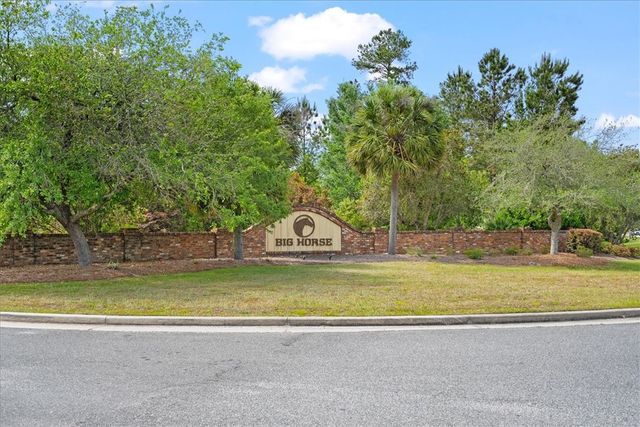 252 big horse Drive, Waynesville, GA 31566