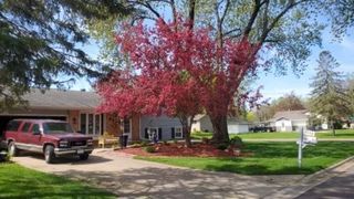 8515 85th Street S, Cottage Grove, MN 55016