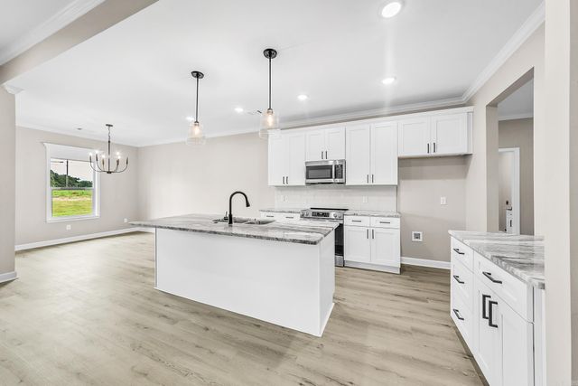 23 Wolfsbridge Loop, Cabot, AR 72023