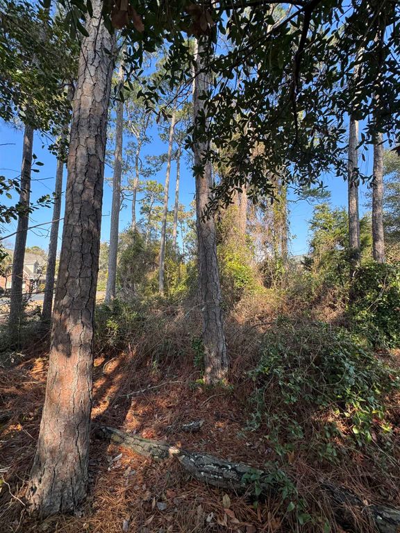 958 Tiffany Ln., North Myrtle Beach, SC 29582 — photo 2