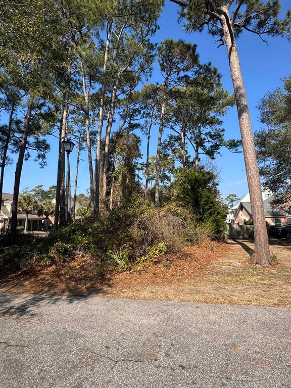 958 Tiffany Ln., North Myrtle Beach, SC 29582 — photo 4