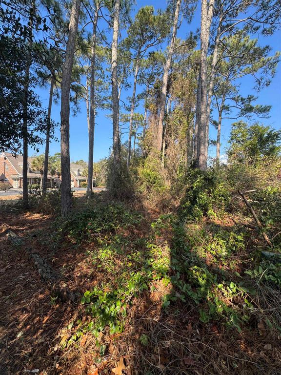 958 Tiffany Ln., North Myrtle Beach, SC 29582 — photo 5