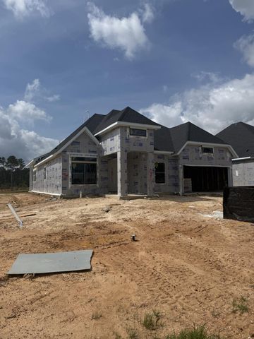 38511 Dancing Pair Way, Magnolia, TX 77354