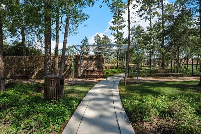 38511 Dancing Pair Way, Magnolia, TX 77354