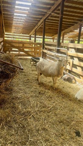 265 Preachersville Road, Stanford, KY 40484