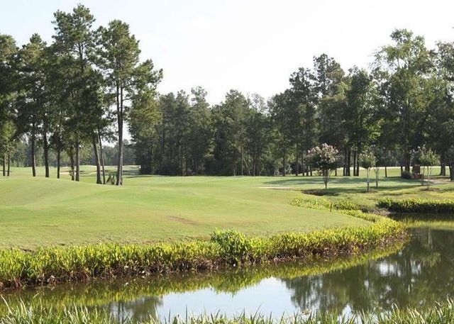 338 Mistletoe Ridge Court, Montgomery, TX 77316