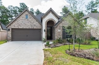 338 Mistletoe Ridge Court, Montgomery, TX 77316