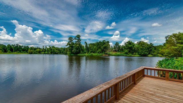 14626 Diamond Shores, Willis, TX 77378