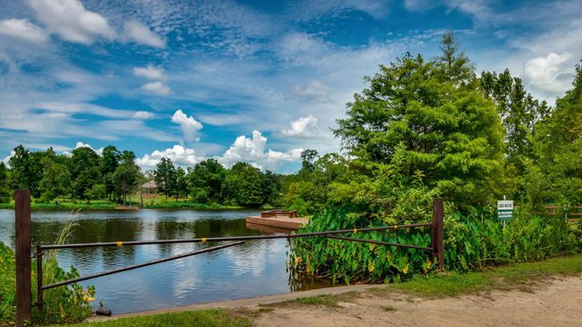 14626 Diamond Shores, Willis, TX 77378