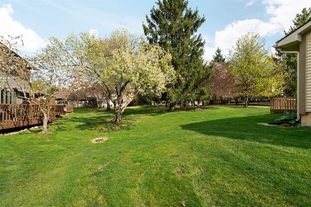 804 Moore Drive, Chelsea, MI 48118