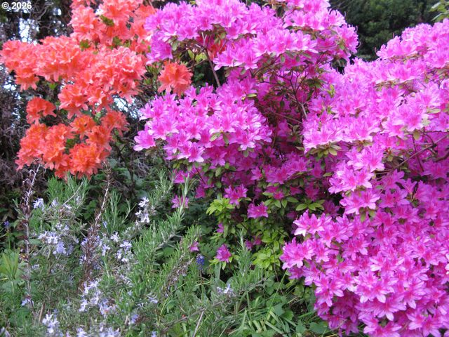 6544 Se 36TH Ave, Portland, OR 97202