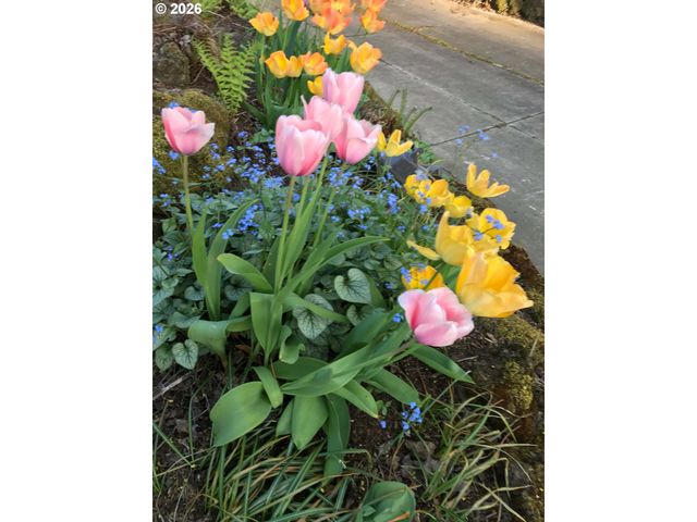 6544 Se 36TH Ave, Portland, OR 97202