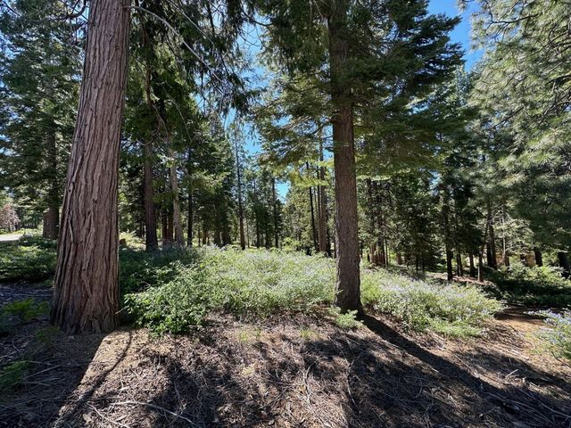 42142 Opal Lane, Shaver Lake, CA 93664