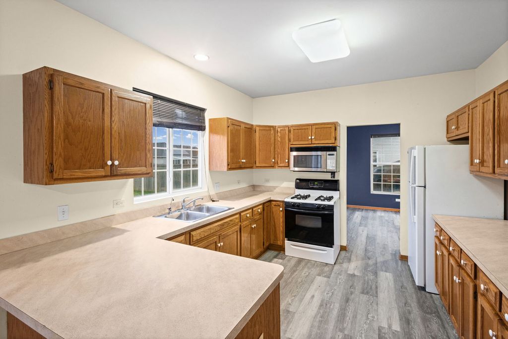 25755 S Mckinley Street, Monee, IL 60449 — photo 4