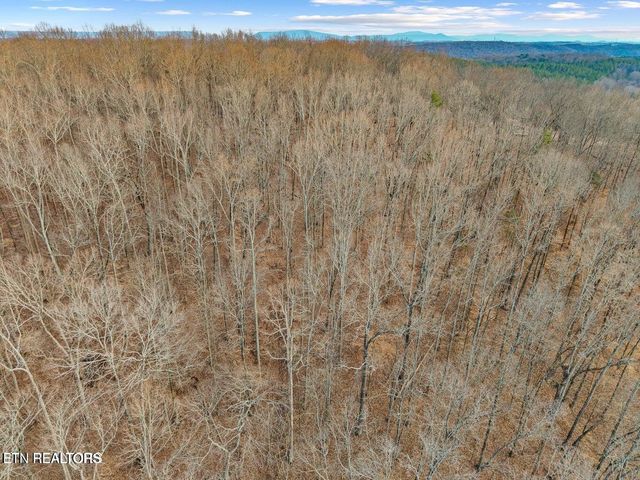 361365 County Road 38, Riceville, TN 37370