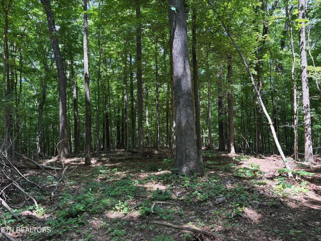 361365 County Road 38, Riceville, TN 37370