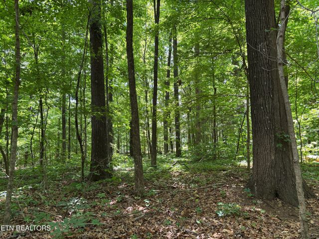 361365 County Road 38, Riceville, TN 37370