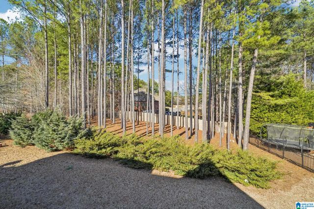 1016 DUNSMORE DRIVE, Chelsea, AL 35043