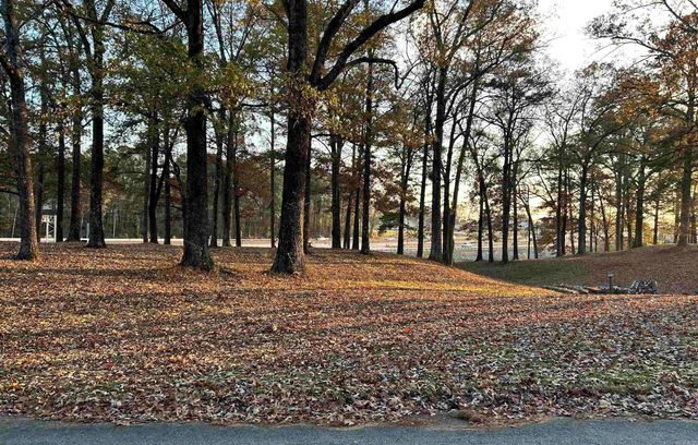 1201 VENTURI Drive, Benton, AR 72019