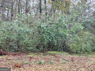 0 Flanders Street, Dublin, GA 31021