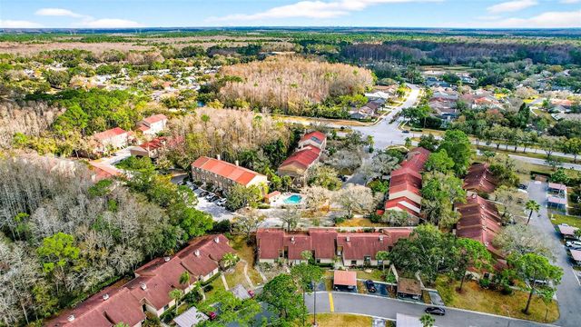 3409 HILL MOOR DRIVE, Palm Harbor, FL 34685