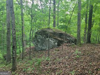 0 Fincherville Road TRACT #3, Jackson, GA 30233