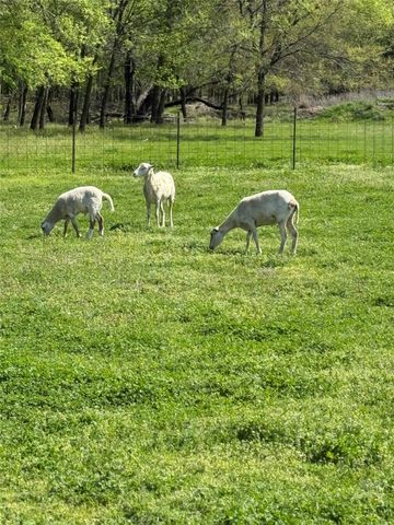 1113 Rs County Road 1525, Point, TX 75472