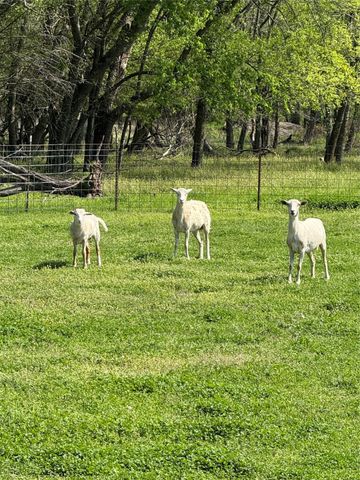 1113 Rs County Road 1525, Point, TX 75472