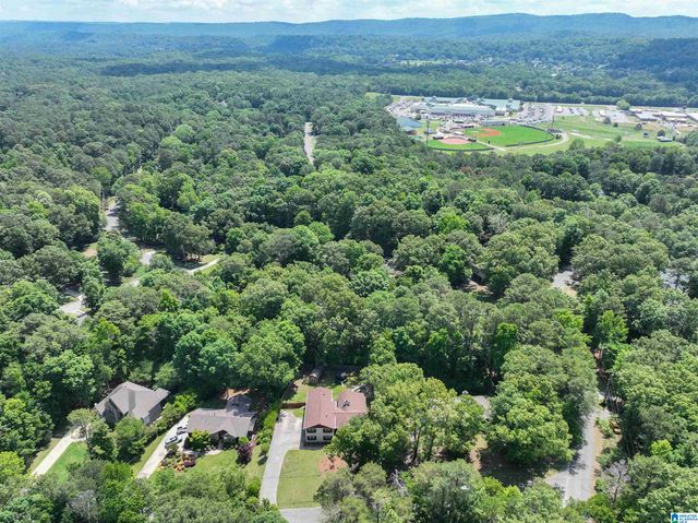 705 NEW HOPE MTN ROAD, Indian Springs Village, AL 35124