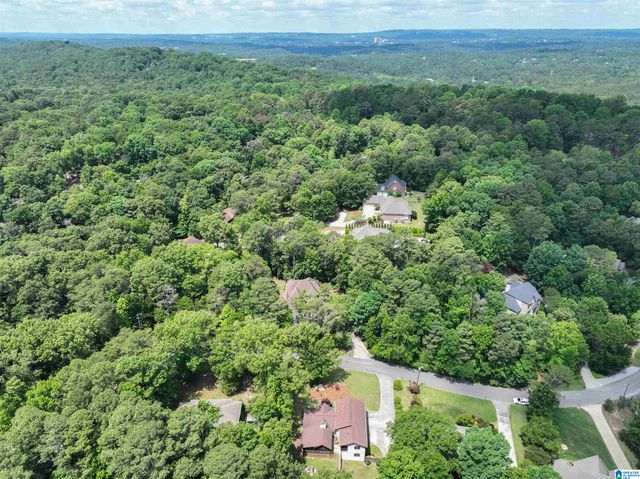 705 NEW HOPE MTN ROAD, Indian Springs Village, AL 35124