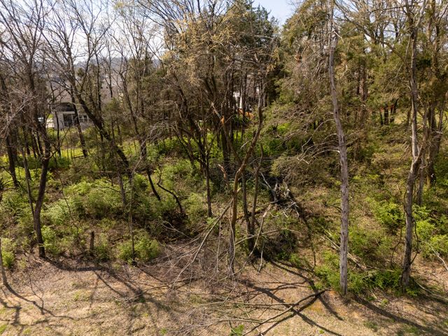 9906 Amarosa Court, Brentwood, TN 37027