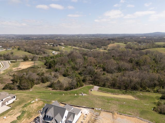 9906 Amarosa Court, Brentwood, TN 37027