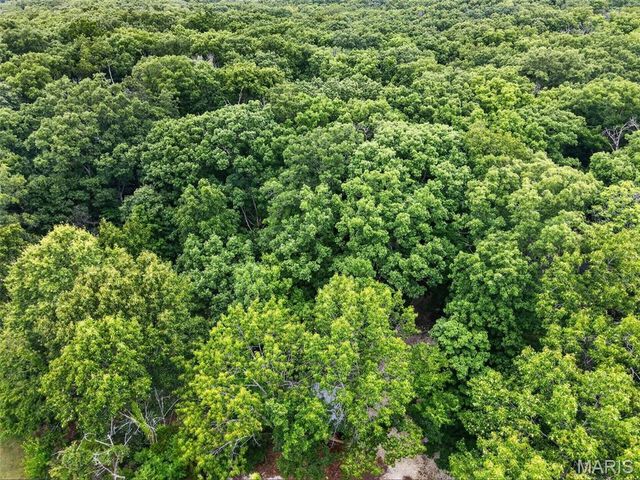 23443 Forest Haven Drive, Wright City, MO 63390