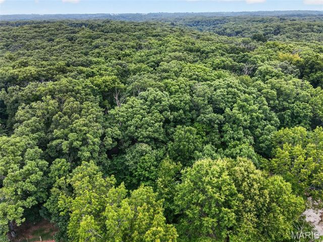 23443 Forest Haven Drive, Wright City, MO 63390