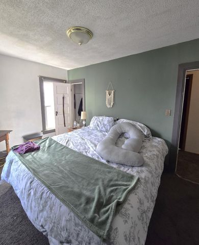 113 Valley Street NE, Preston, MN 55965