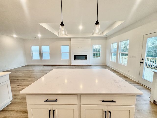 232 Rose Hannah Drive, Gallatin, TN 37066