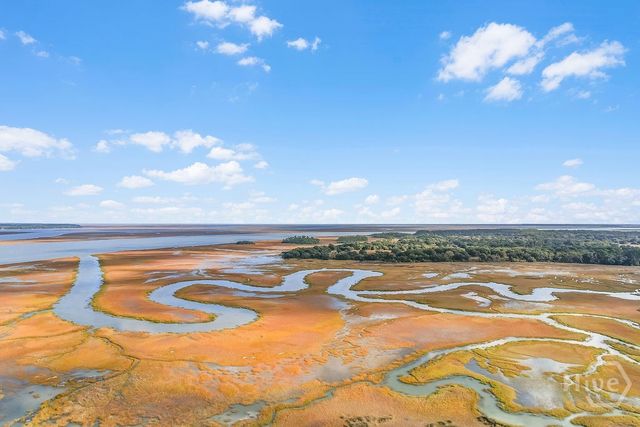 1063 Fair Hope Lane NE, Townsend, GA 31331