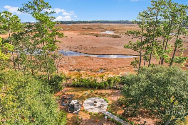 1063 Fair Hope Lane NE, Townsend, GA 31331