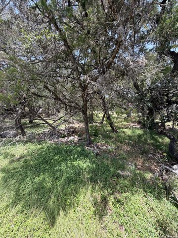 1466 Whispering Water, Spring Branch, TX 78070