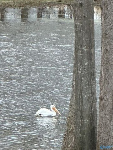 1.0 Acre Lake Pointe Circle, Scottsboro, AL 35769