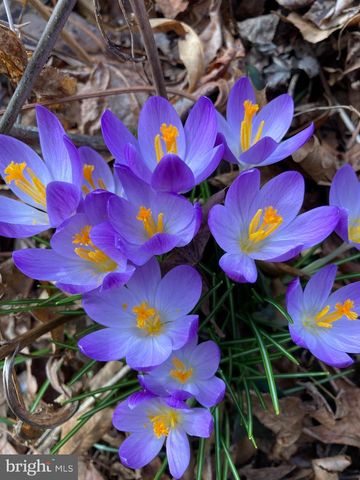 1021 ALBERT RENNOLDS DR, Fredericksburg, VA 22401