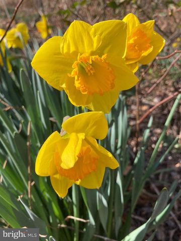 1021 ALBERT RENNOLDS DR, Fredericksburg, VA 22401