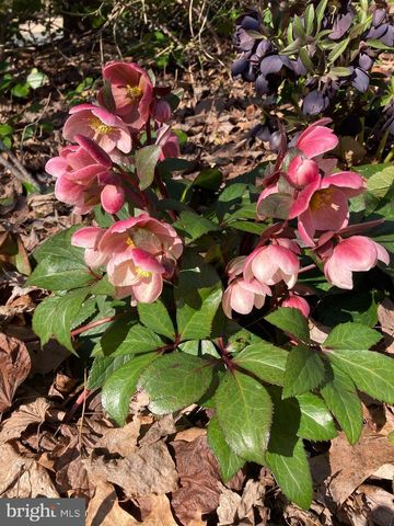 1021 ALBERT RENNOLDS DR, Fredericksburg, VA 22401