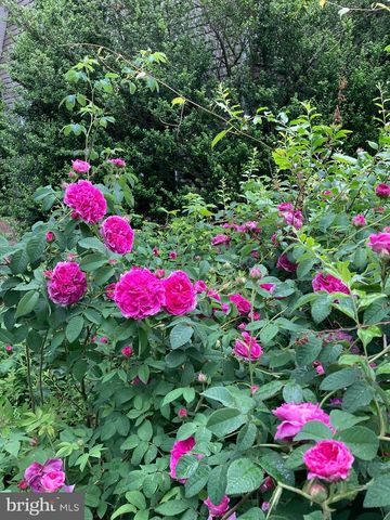 1021 ALBERT RENNOLDS DR, Fredericksburg, VA 22401