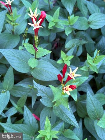 1021 ALBERT RENNOLDS DR, Fredericksburg, VA 22401