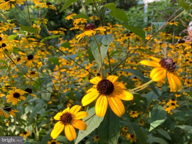 1021 ALBERT RENNOLDS DR, Fredericksburg, VA 22401