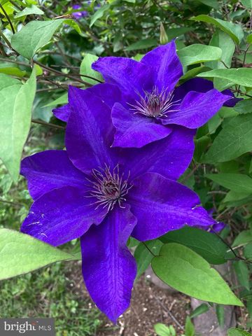 1021 ALBERT RENNOLDS DR, Fredericksburg, VA 22401