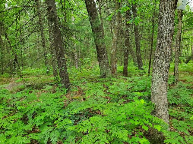 5242 S Forest Drive, Baldwin, MI 49304