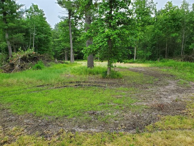 5242 S Forest Drive, Baldwin, MI 49304