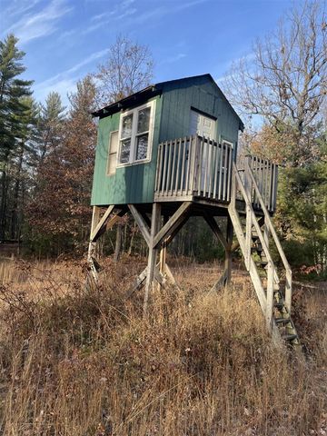 5242 S Forest Drive, Baldwin, MI 49304